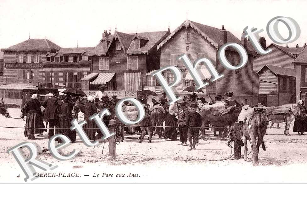 le parc aux anes
