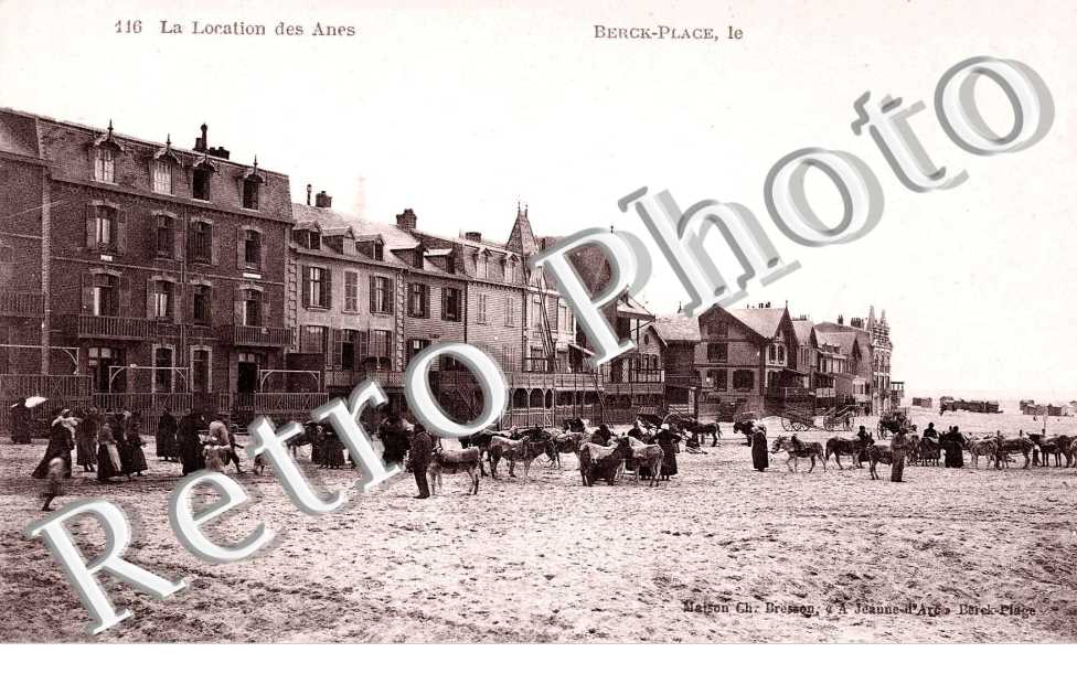 la location des anes