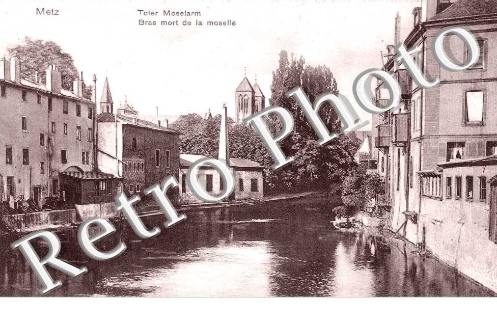 bras mort de la Moselle