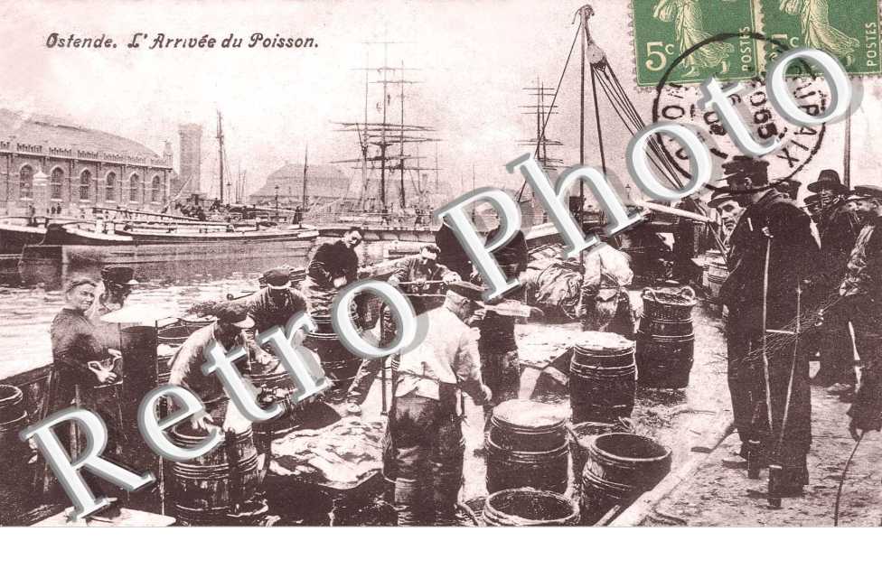 l&#039;arrivee du poisson
