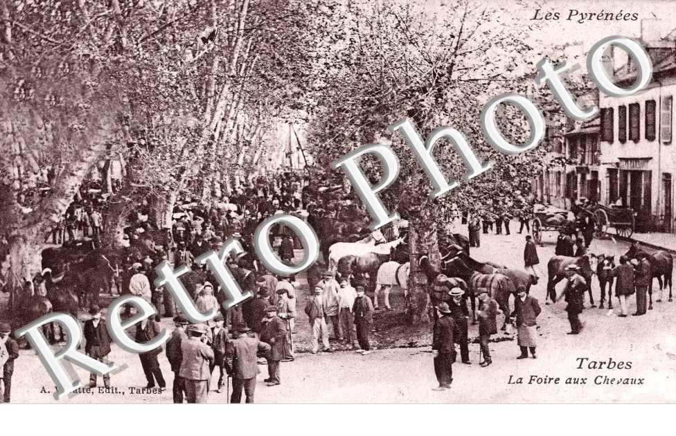 LA FOIRE AUX CHEVAUX