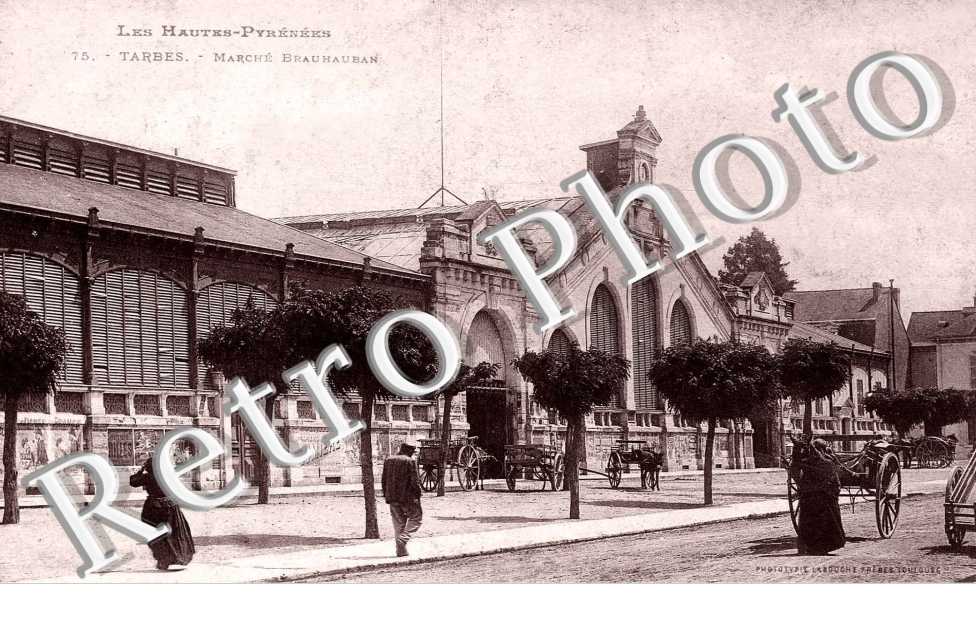 Grand Marche Brauhaubam