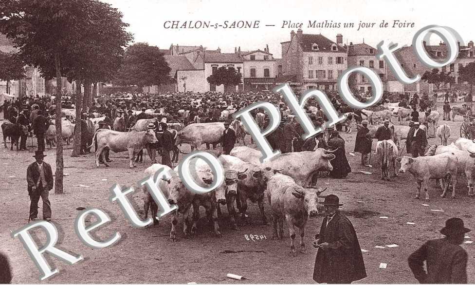Place Mathias un jour de foire (betail)