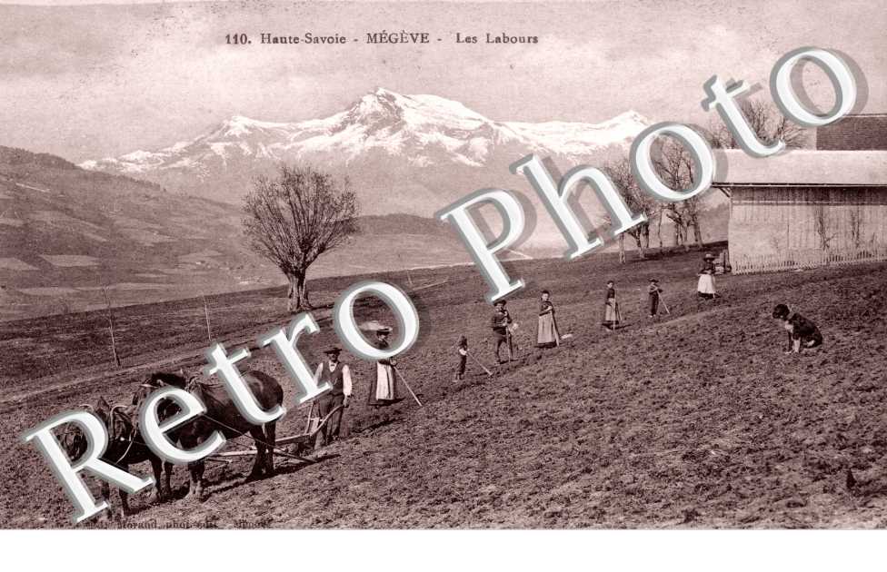 Les Labours - charrue