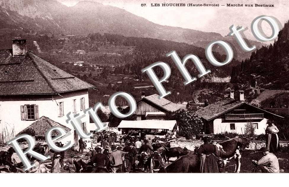 marche aux bestiaux