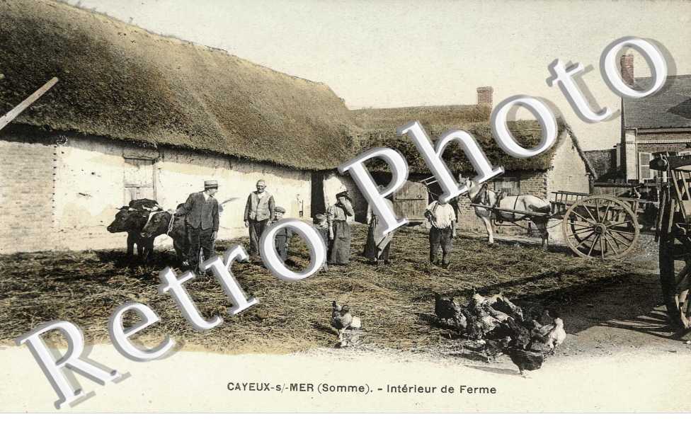 Interieur de la ferme (couleur)