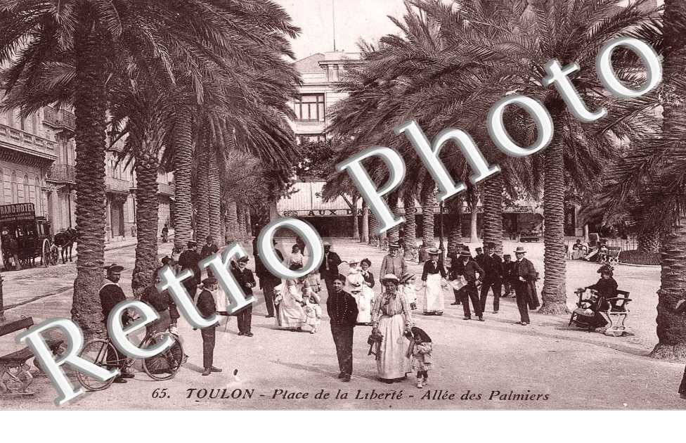 Place de la Liberté - Allée des Palmiers