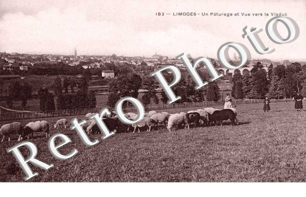 Un Pâturage et vue sur le Viaduc