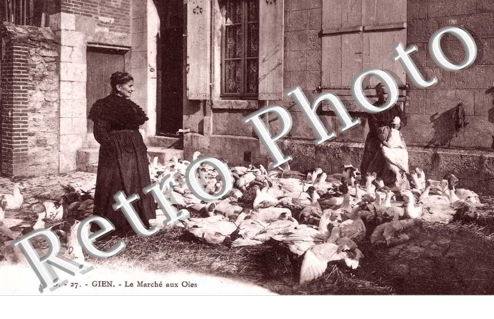 le marche aux oies