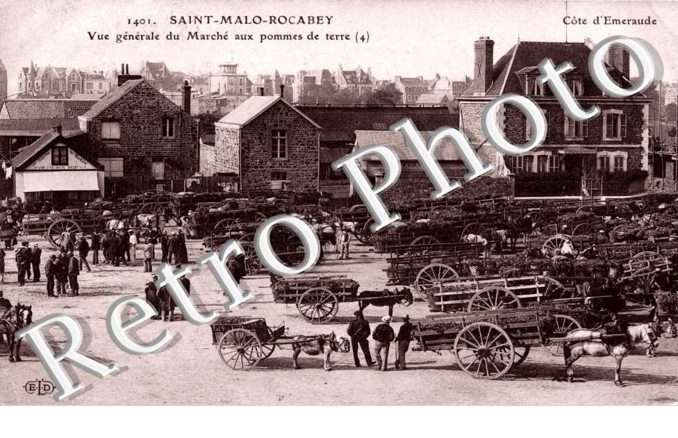 vue generale du marche aux pommes de terre