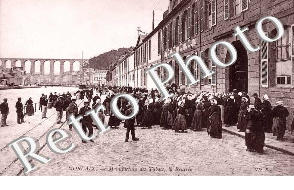 manufacture des tabacs, la rentree