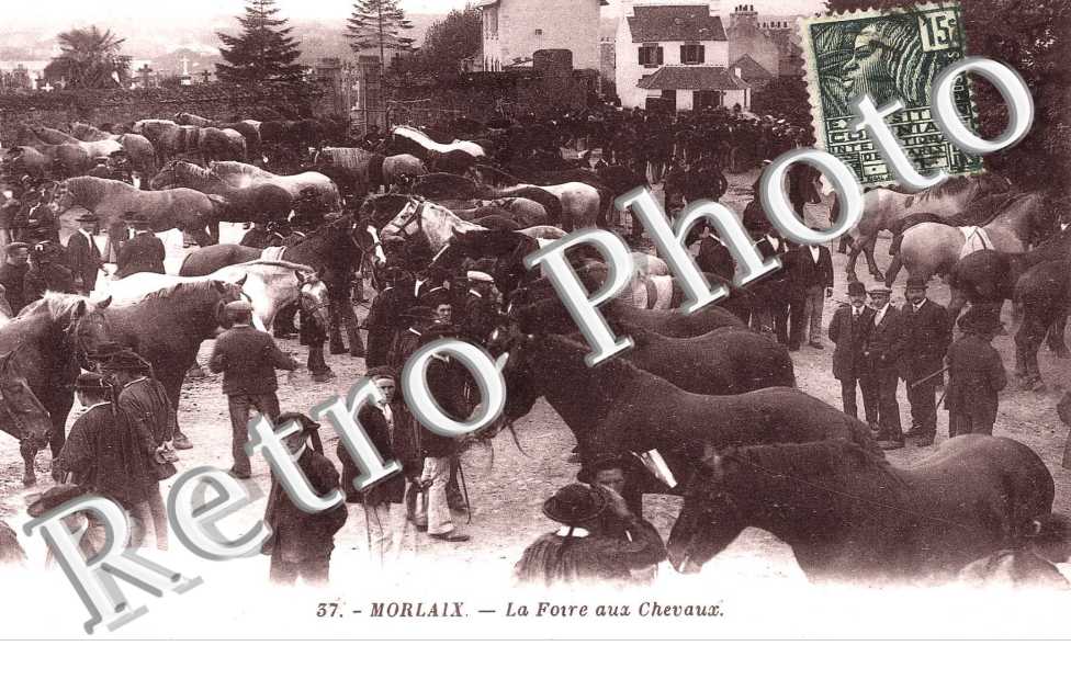 la foire aux chevaux