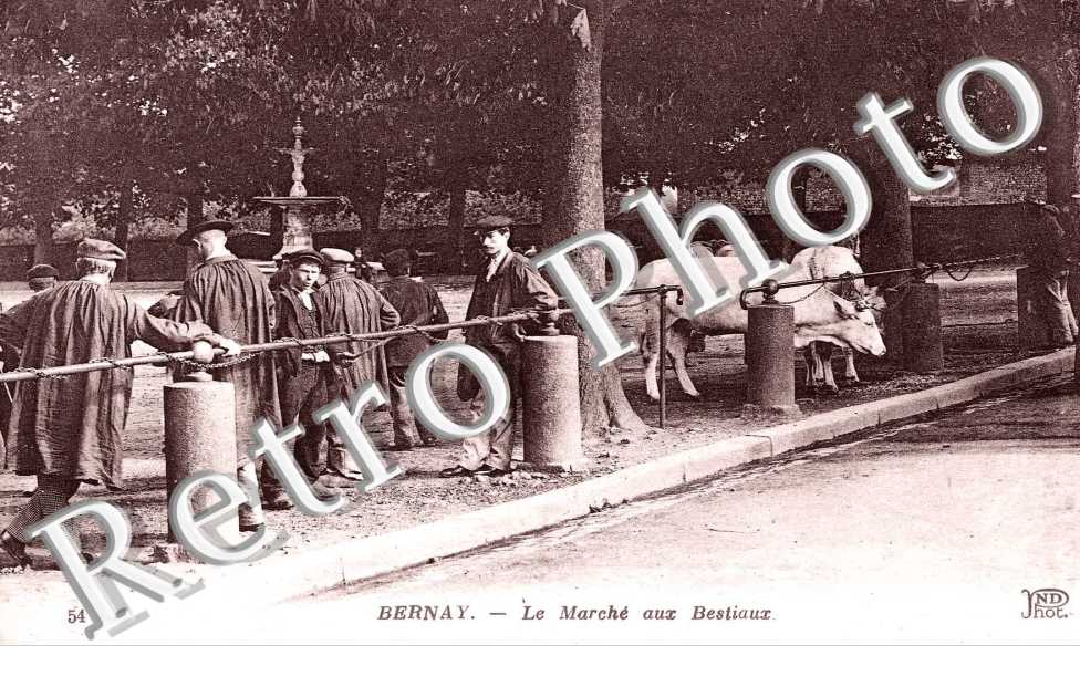 marche aux bestiaux