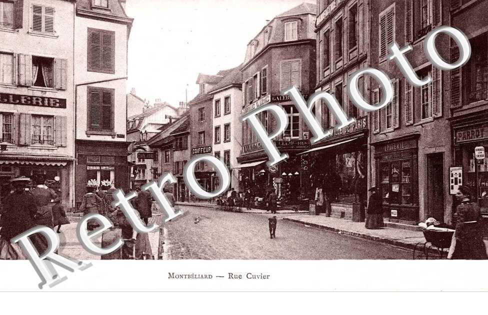 rue cuvier