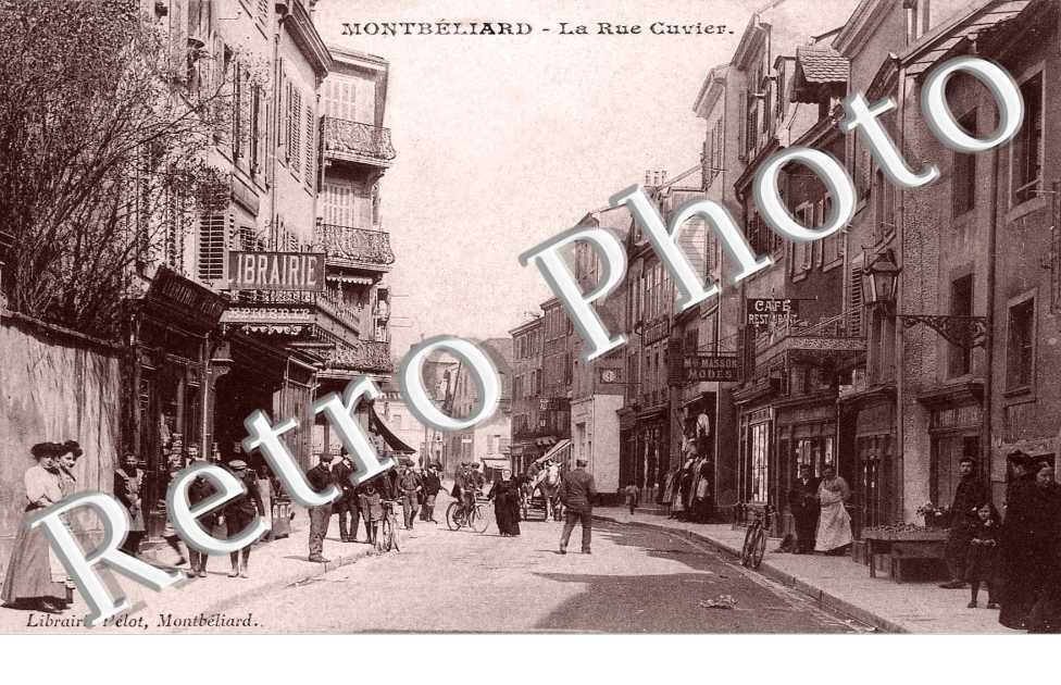 La rue Cuvier