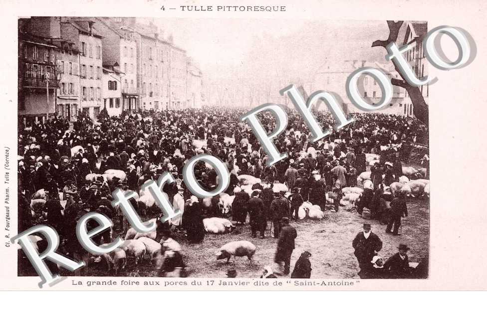 la grande foire aux porcs du 17 janvier dite de "st antoine"