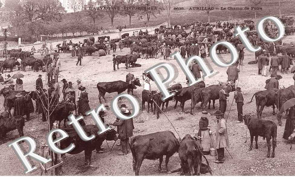 LE CHAMP DE FOIRE