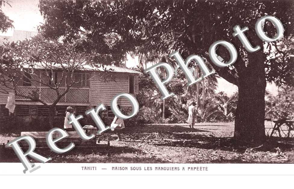 MAISON SOUS LES MANGUIERS