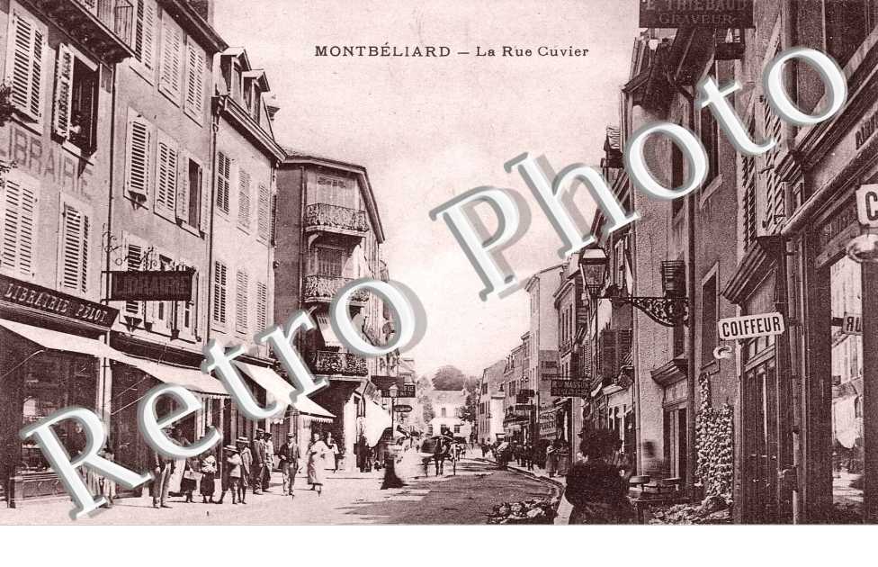 rue cuvier