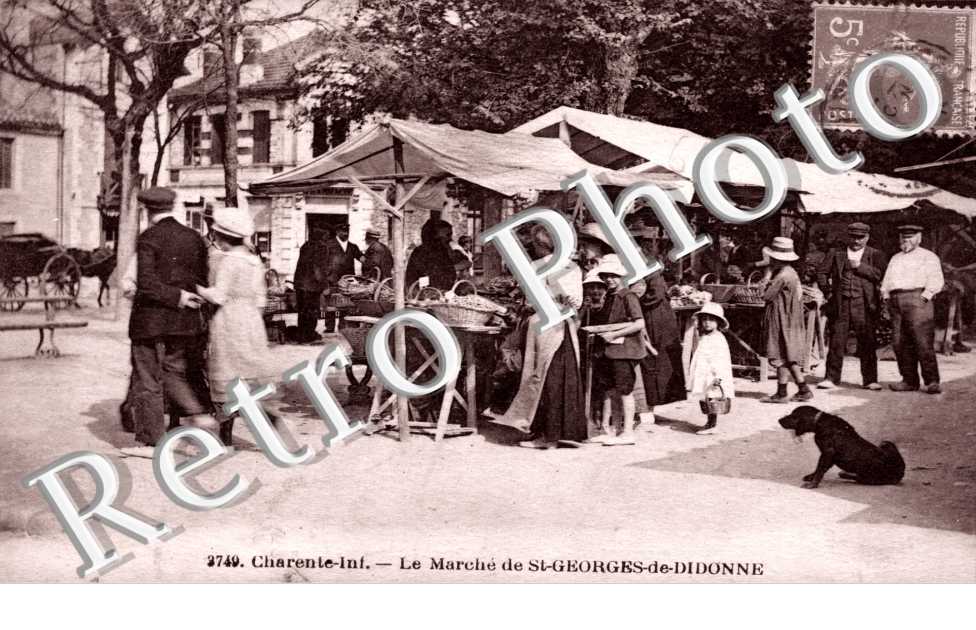 le marche