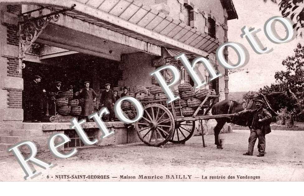 maison Maurice Bailly - la rentree des vendanges