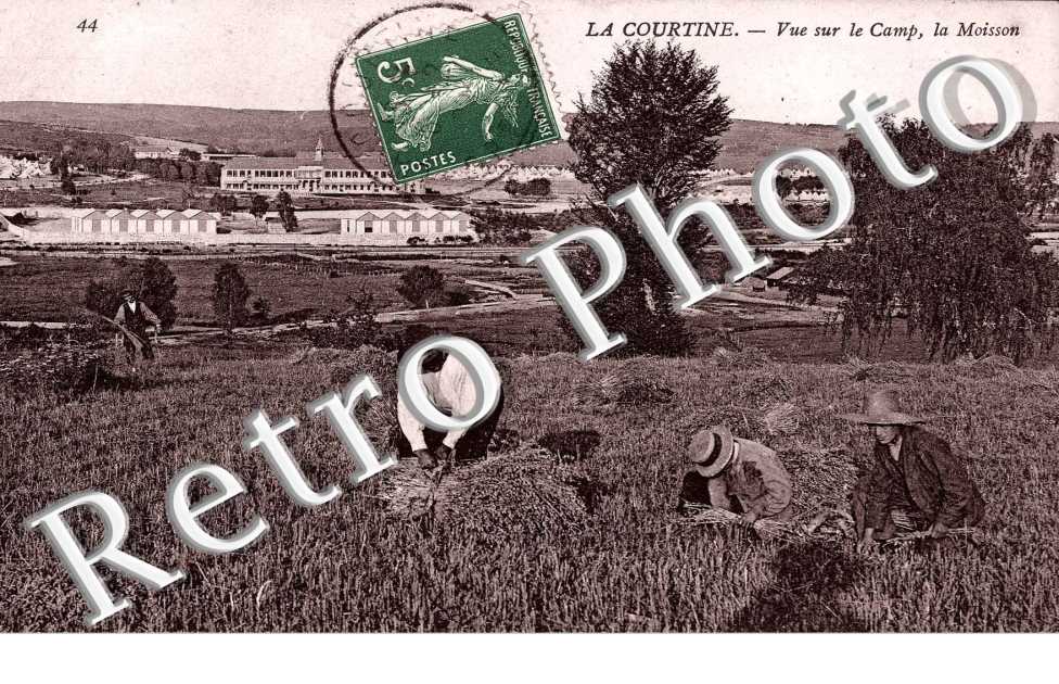 Vue sur le camp, la moisson