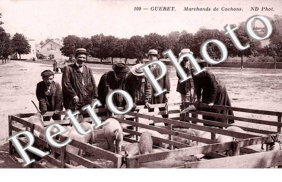 marchands de cochons