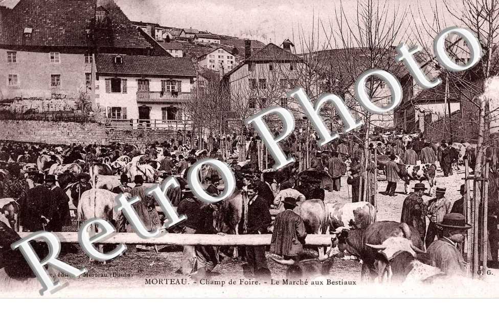 champ de foire, le marche aux bestiaux