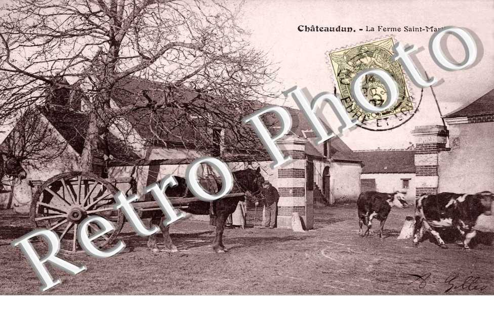la ferme saint martin