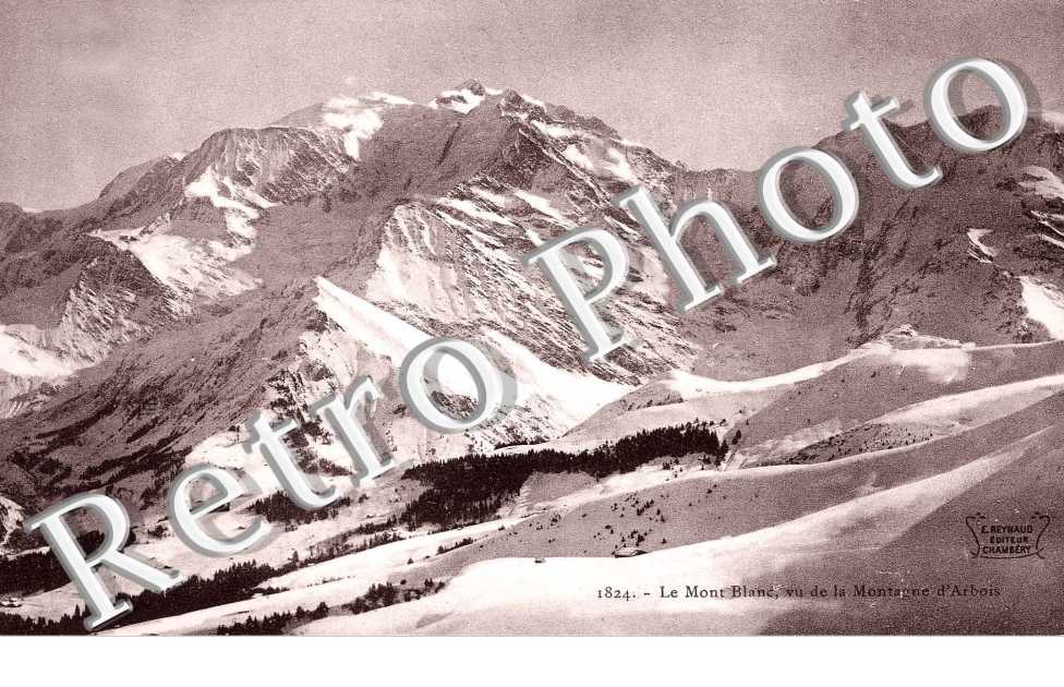 le Mont Blanc vu de la Montagne d'Arbois