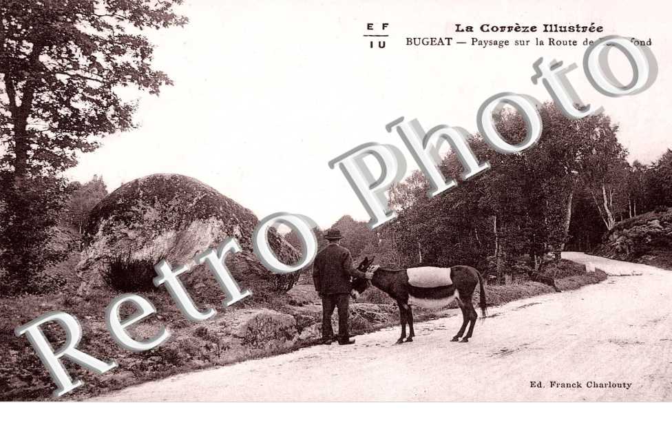 paysage sur la Route de Bonnefond