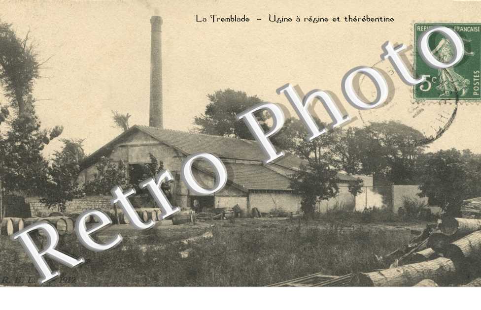 Usine a Resine et Therebentine