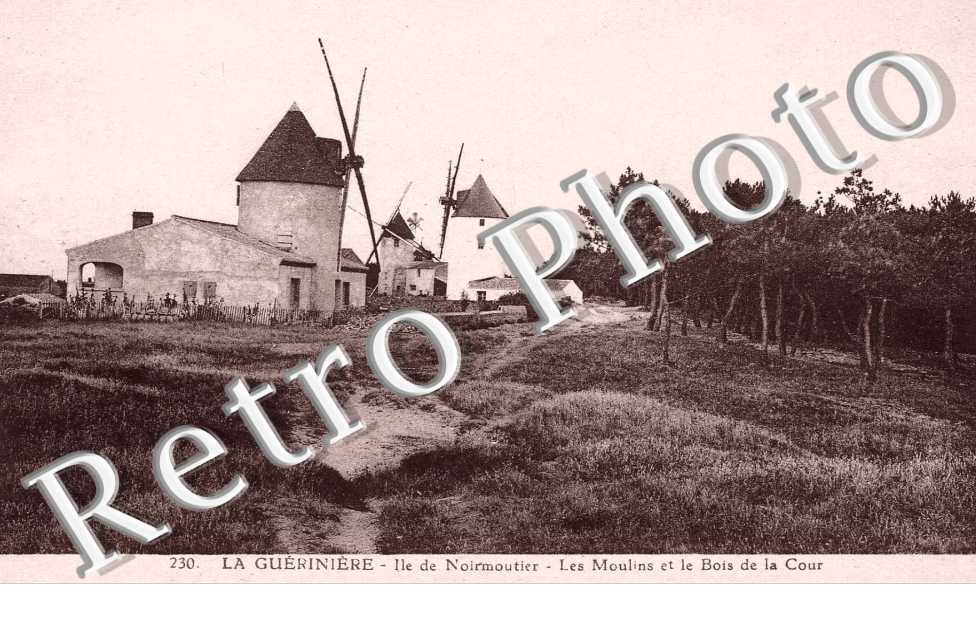  LA GUERINIERE les moulins et le Bois de la Cour