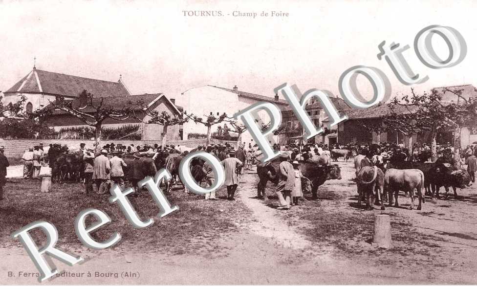 Champ de foire