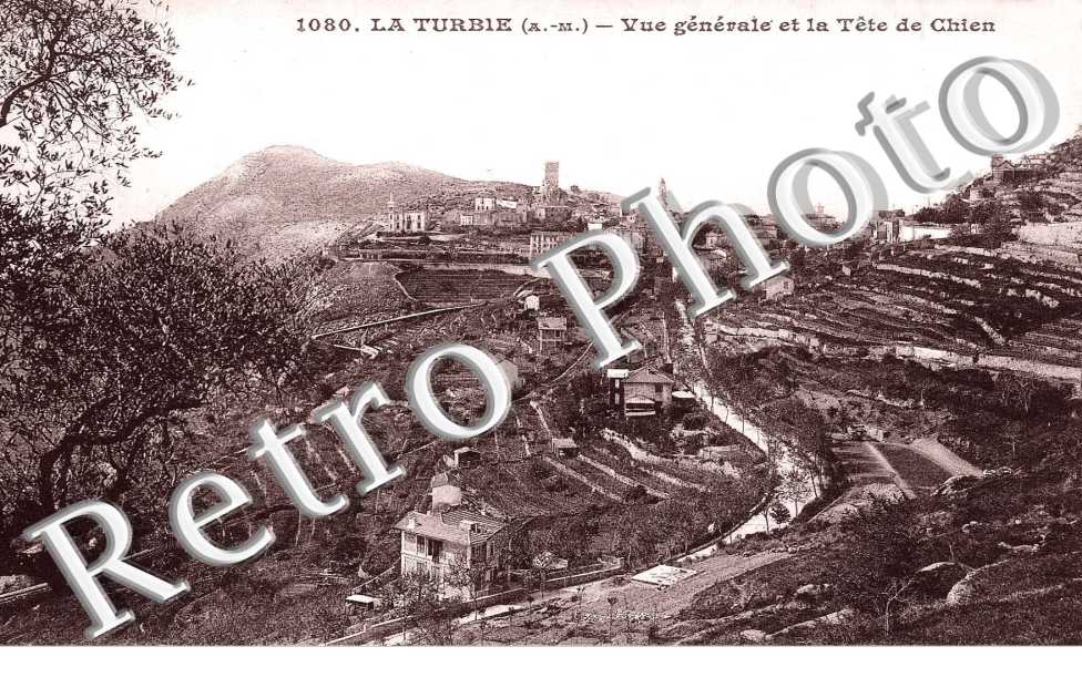 vue generale et la tete de Chien