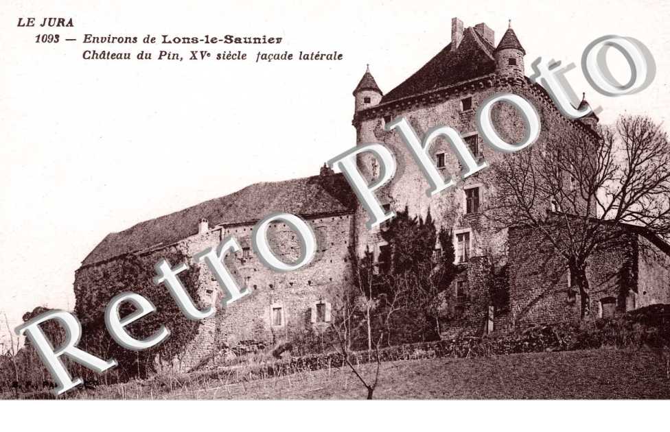CHATEAU DU PIN