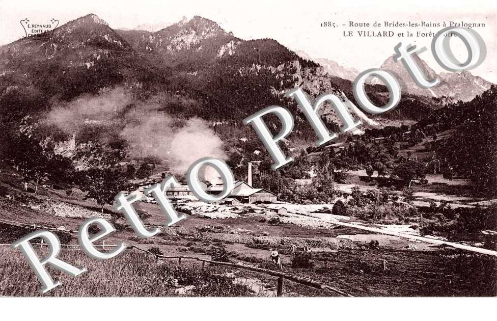 Le villard et la foret noire