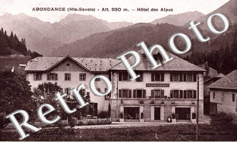 hotel des Alpes