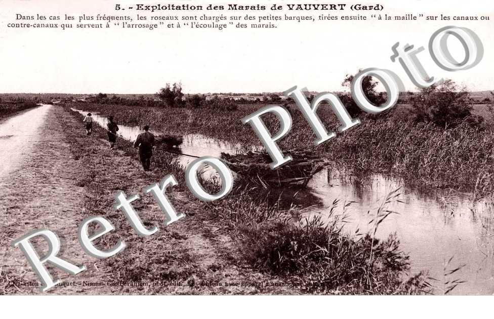 Exploitation des Marais