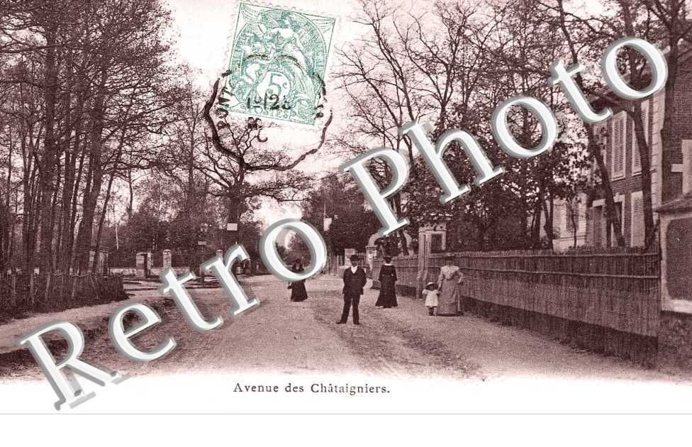 Avenue des Chataigners