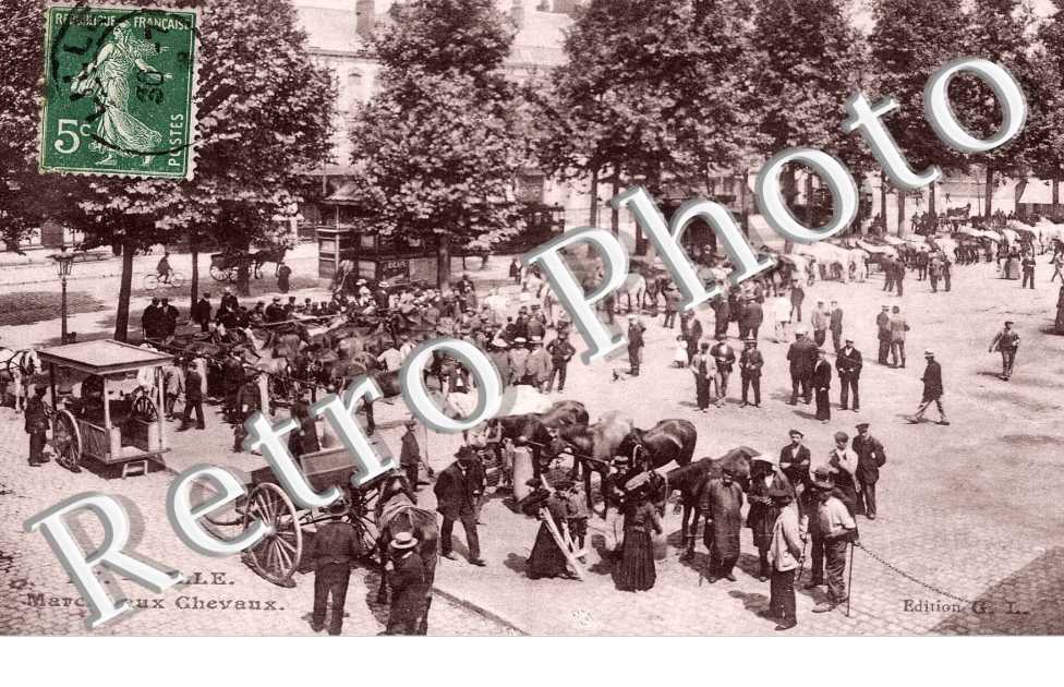 Marche aux chevaux