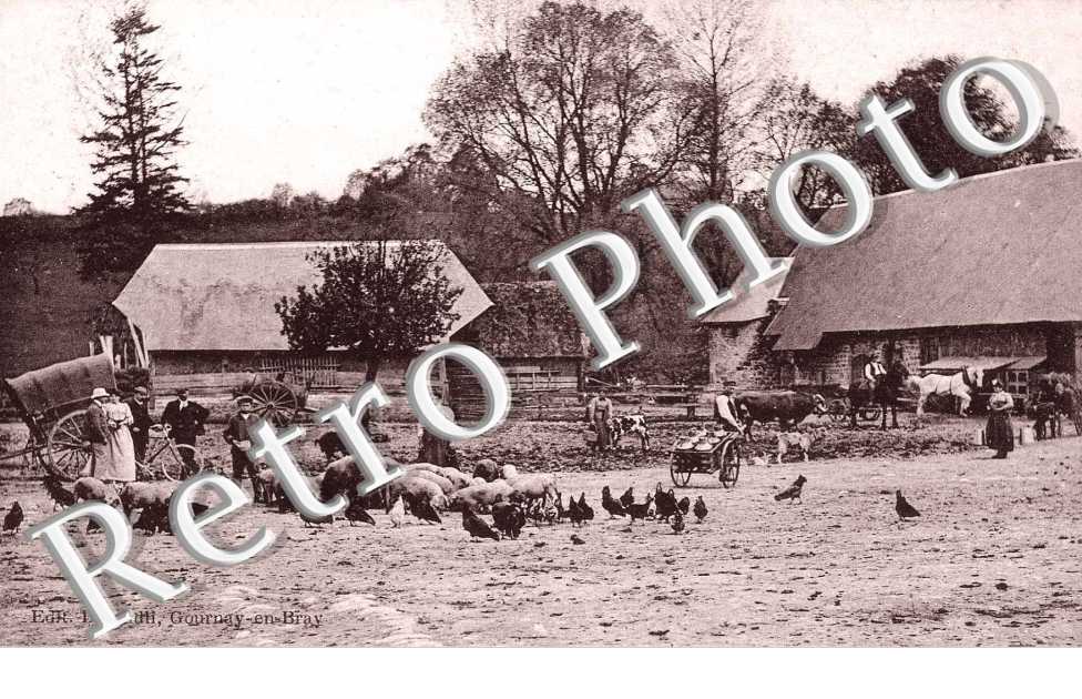 Cour de Ferme
