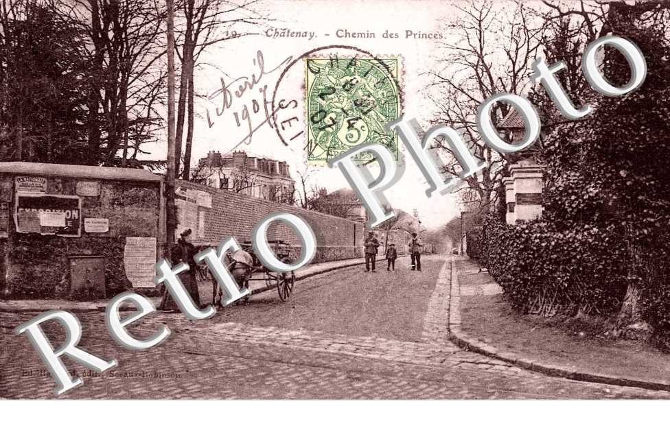 Chemin des princes - attelage de cheval