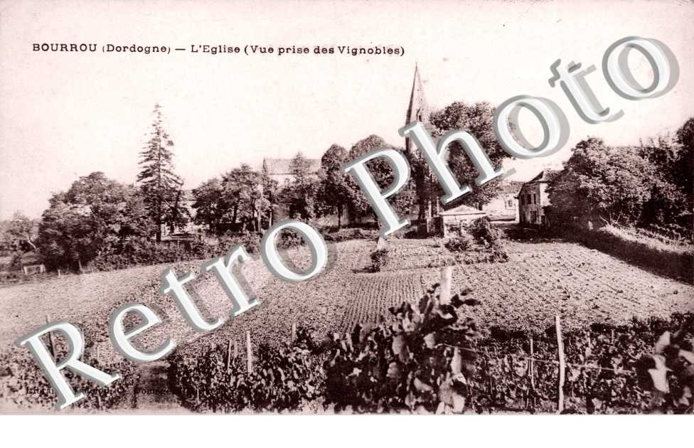 L&#039;église - vue prise des vignobles
