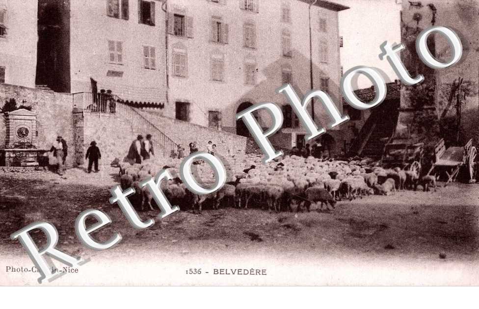 Belvedere