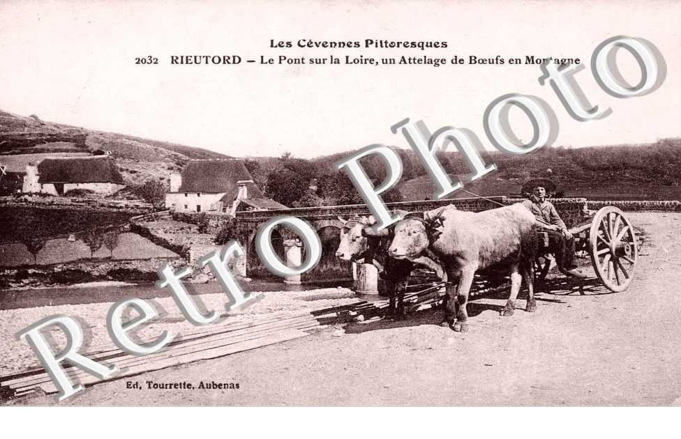 Rieutord, le Pont sur la Loire, un Attelage de Boeufs en montagne