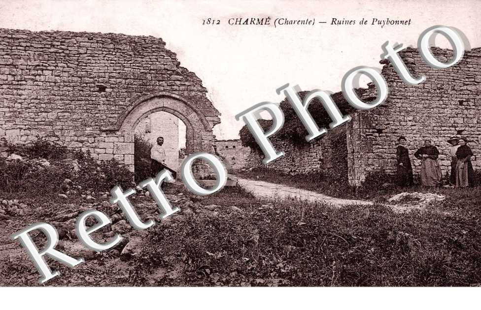 Ruines de Puybonnet