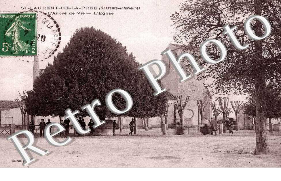 L&#039; Arbre de Vie et l&#039;Eglise