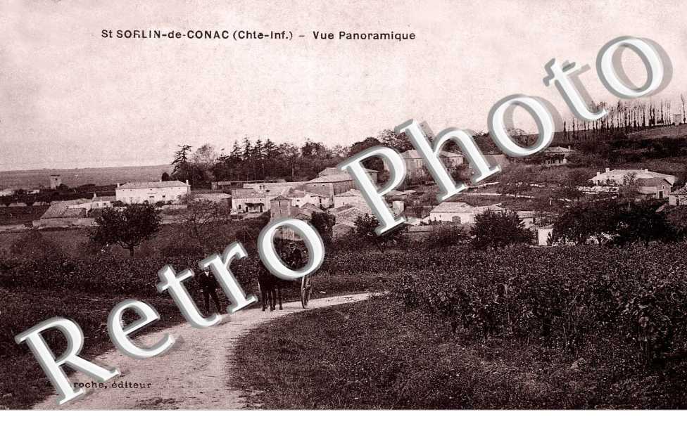 Vue panoramique