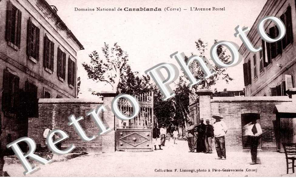 Avenue Boitel